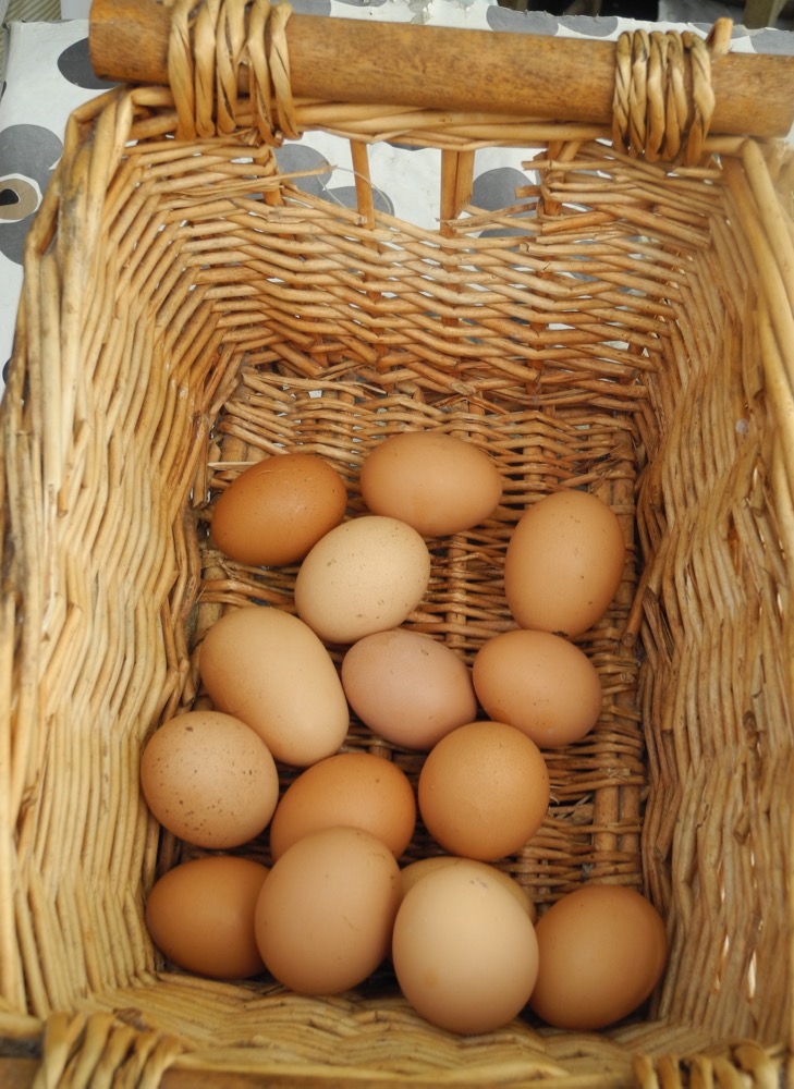 Market Eggs from County Cork