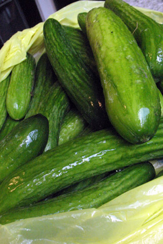 https://www.thecitycook.com/articles/2009-07-23-what-s-in-season-cucumbers/_res/id=Pictures/index=0