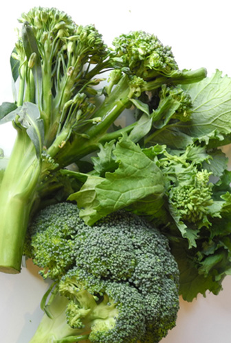 Broccoli, Broccolini, and Broccoli Rabe