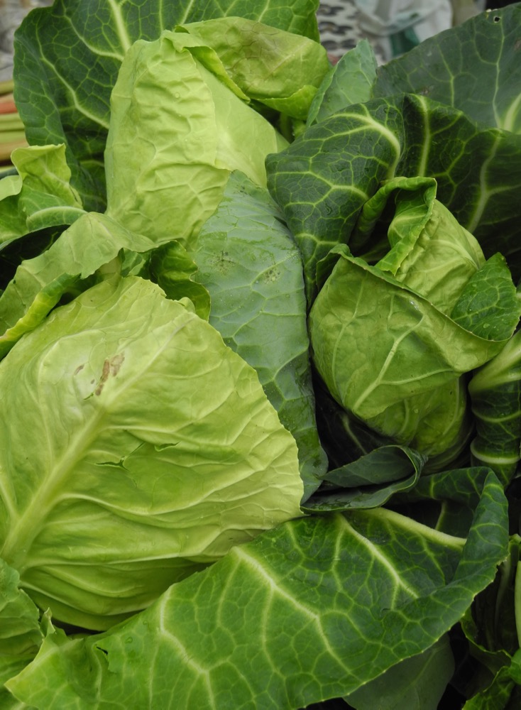 Cabbages at a Town Market