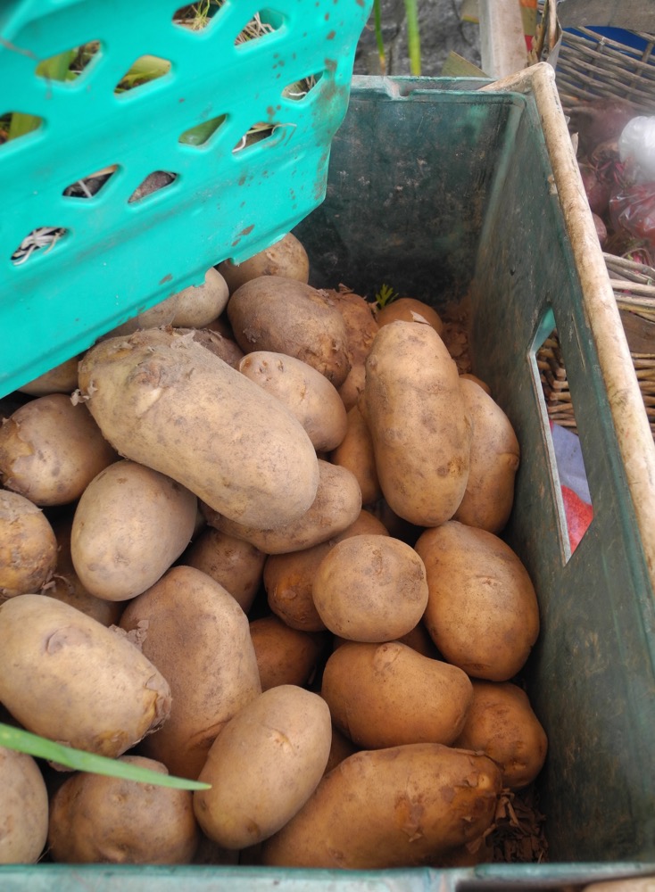 Freshly Dug Potatoes from a Market in County Cork